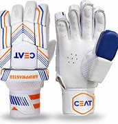 Image result for Cricket Protection Gear