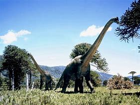 Image result for Brachiosaure