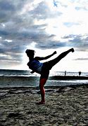 Image result for Great Karate Poses