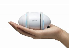 Image result for Sony Rolly Speaker