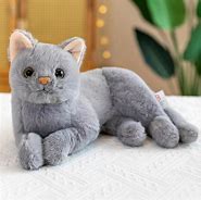 Image result for Cat Toy Transparent