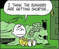 Image result for Summer Heat Humor