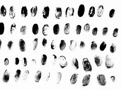 Image result for Fingerprint Black and White