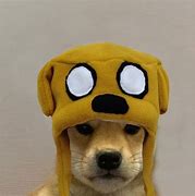 Image result for Doge with Hat Meme 1080