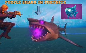 Image result for Electronic Sharks