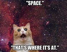 Image result for fun space cats meme