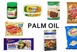 Image result for Boycott Palm Oil