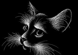 Image result for Scratch Art Animiton