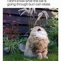Image result for People Stressed Out Funny