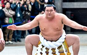 Image result for Most Famous Sumo