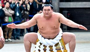 Image result for Sumo Wrestling Arena