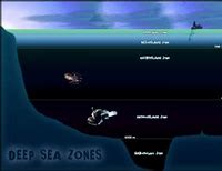 Image result for How Far Is the Sea From Here