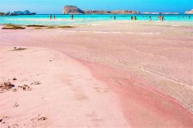 Image result for Aruba Pink Sand Beach