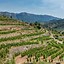 Image result for Mas Alta Priorat Black Slate