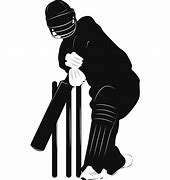 Image result for Cricket Shadow