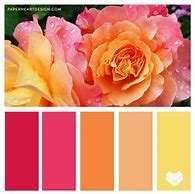 Image result for Flower Color Palette