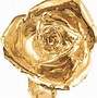 Image result for Real 24K Gold Rose