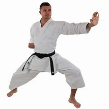 Image result for Adidas Karate Uniform