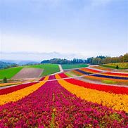 Image result for Hokkaido Japan Attractions