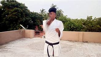 Image result for Karate Puches