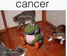 Image result for Ovarian Cancer Meme
