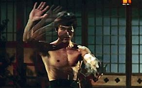 Image result for Southern Dragon Kung Fu