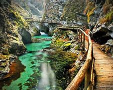 Image result for Europe Nature