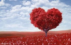 Image result for Nature Love Images
