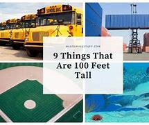 Image result for Things That Are 100 Feet Tall