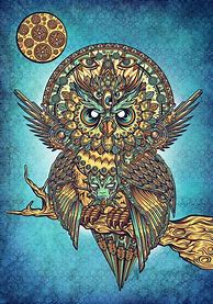 Image result for Trippy Owl