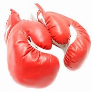 Image result for 10 Oz Boxing Gloves
