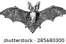 Image result for Cute Preppy Bats