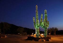 Image result for Arizona Desert Christmas