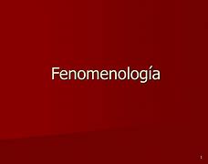 Image result for fenomenolog�a