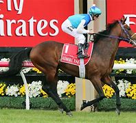 Image result for Horse Racing Infographics