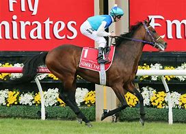 Image result for Horse Racing Wallpaper for PC