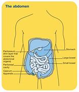 Image result for Abdomen Cancer