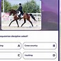 Image result for Switch Horse Racing Game
