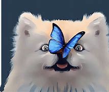 Image result for Butterfly Wallpaper for Laptop Dogs