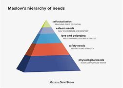Image result for Five Primary Needs