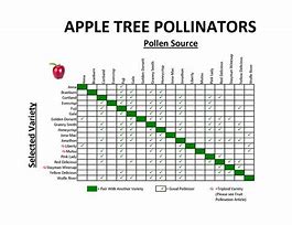 Image result for Apple Sour to Sweet Chart