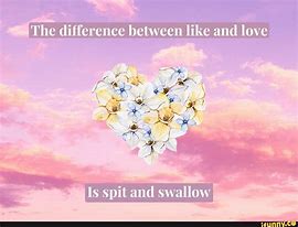 Image result for Difference Between Like and Love Meme