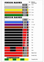 Image result for Jiu Jitsu Belts Color Order