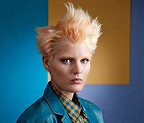 Image result for Crazy Punk Hairstyles