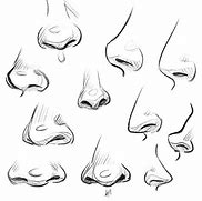 Image result for Cute Cartoon Nose Drawing