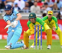 Image result for World Famous Cricket Players