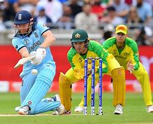 Image result for Cricket Information