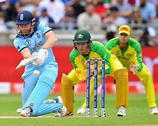 Image result for Cricket the Sport