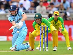 Image result for Images Related to Cricket for Project