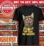 Image result for Steelers Cat Meme